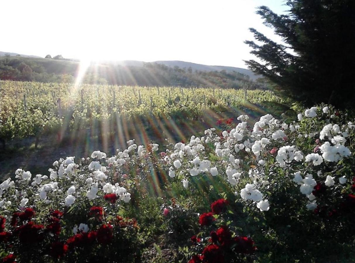 Agriturismo Fattoria Il Piano - Casa Tosca - 산지미냐노 외부 사진