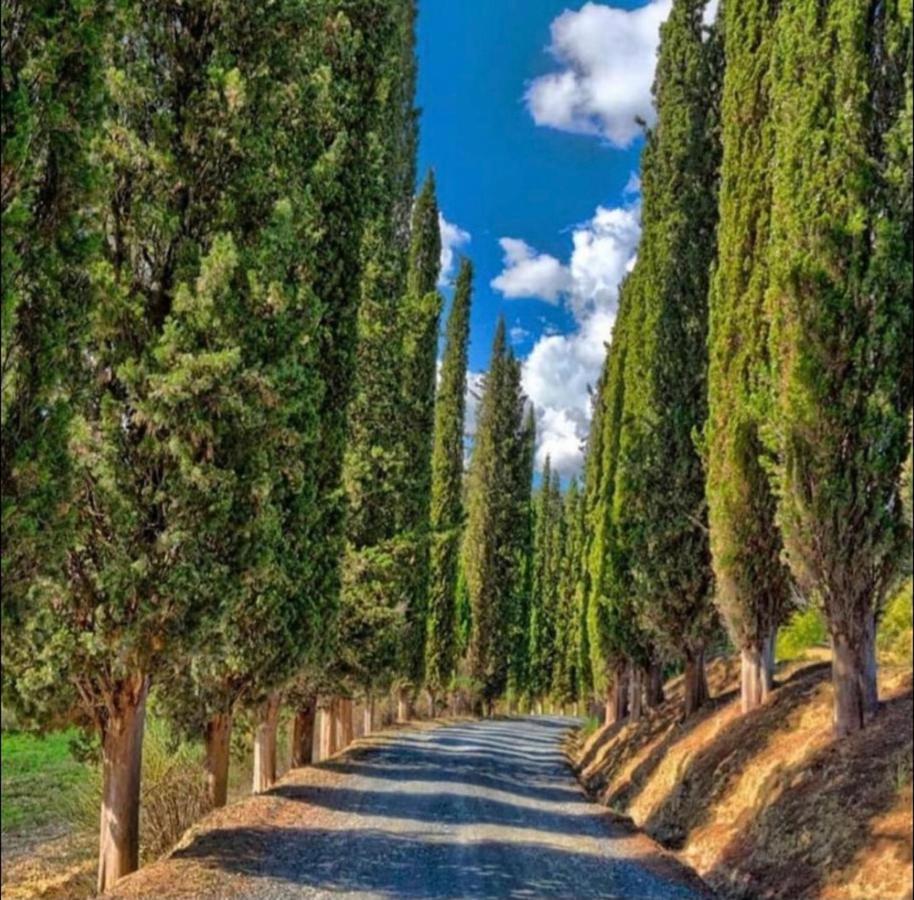 Agriturismo Fattoria Il Piano - Casa Tosca - 산지미냐노 외부 사진