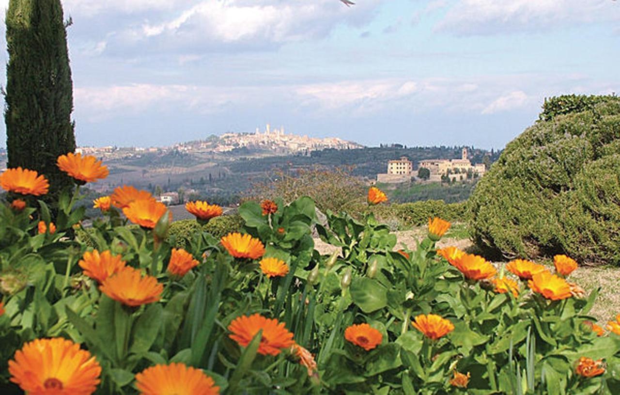 Agriturismo Fattoria Il Piano - Casa Tosca - 산지미냐노 외부 사진